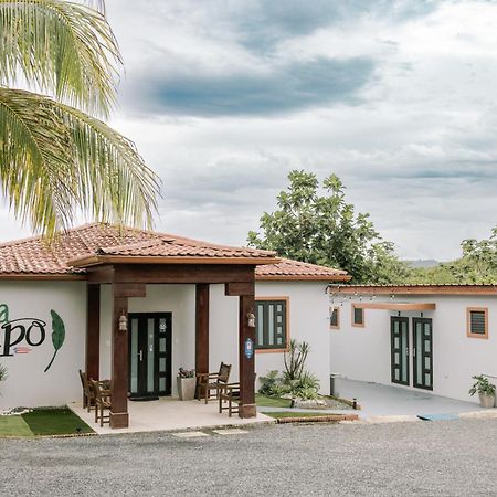 Casa Campo Bed & Breakfast San Sebastián Exteriér fotografie